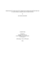 Bioarchaeology of Jicaro : analysis of human skeletal remains and mortuary practices at a Sapoa Period (A.D. 800/900--1350) site in Greater Nicoya