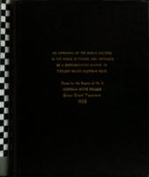 An appraisal of the social factors in the work attitudes and interests of a representative sample of twelfth grade Michigan boys