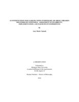 An intervention for families with overweight or obese children delivered by extension : assessment of feasibility, implementation, and participant experiences