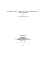 The trouble with trees? Social and political dynamics of greening efforts in Detroit, Michigan