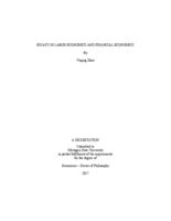 Essays in labor economics and financial economics