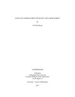 Essays on unemployment insurance and labor market