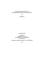 Structure and physiology of mitochondrial replicative DNA helicases