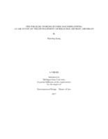 The parallel worlds of park master planning : a case study of the development of Belle Isle, Detroit, Michigan