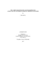 The carbon sequestration and soil respiration after land use conversion in biofuel cropping ecosystems