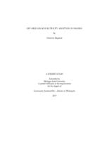 Off-grid solar electricity adoption in Nigeria