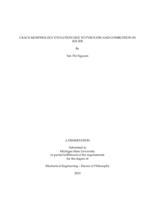 Crack morphology evolution due to pyrolysis and combustion in solids