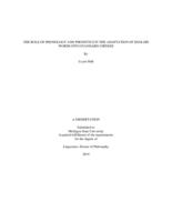 The role of phonology and phonetics in the adaptation of English words into standard Chinese