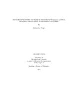 Mentorship matters : the role of mentorship in social capital building and student achievement outcomes