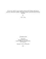 Spaces of conflict and conservation in the central Brazilian Amazon : artisanal fishers, wildlife tourism, and the Amazon river dolphin