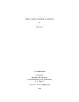 Three papers on labor economics