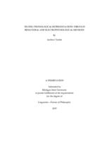 Testing phonological representations through behavioral and electrophysiological methods