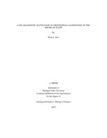 Late-diagenetic illitization in Mississippian sandstones of the Michigan Basin