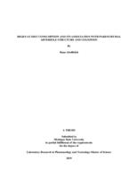 High fat diet consumption and its association with parenchymal arteriole structure and cognition