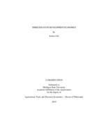 Three essays in development economics