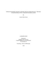 Intimate partner violence and risk for psychopathology : the role of emotion reactivity and emotion regulation