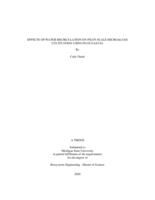 Effects of water recirculation on pilot-scale microalgae cultivation using flue gas CO2