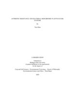 Antibiotic resistance and bacterial microbiome in lettuce-soil systems