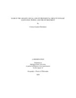 Dams in the Amazon : social and environmental impacts on basic sanitation, people, and the environment