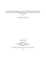 Occurrence of pathogenic Legionella and Amoebae spp. from source (groundwater) to exposure (taps and cooling towers) in a complex water system