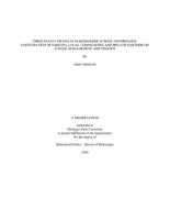 Three essays on multi-stakeholder school governance : participation of parents, local communities and private partners in school management and finance