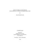 Life outcomes as a function of developmental patterns of problem behaviors