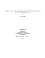 Effects of early life stress and mast cells on brain function and behavior in the mouse and pig