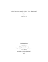 Three Essays on Human Capital and Labor Supply