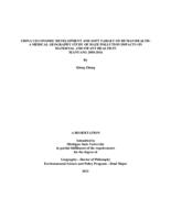 CHINA’S ECONOMIC DEVELOPMENT AND SOFT TARGET ON HUMAN HEALTH : A MEDICAL GEOGRAPHY STUDY OF HAZE POLLUTION IMPACTS ON MATERNAL AND INFANT HEALTH IN XIANYANG 2008-2016