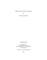 Three Essays in Public Economics