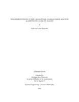 Nonlinear Extensions to New Causality and a NARMAX Model Selection Algorithm for Causality Analysis