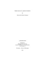 Three essays in labor economics