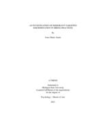 An investigation of immigrant-targeted discrimination in hiring practices