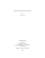 Essays in industrial organization