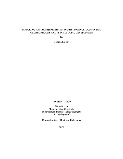 Exploring racial disparities in youth violence : connecting neighborhoods and psychosocial development