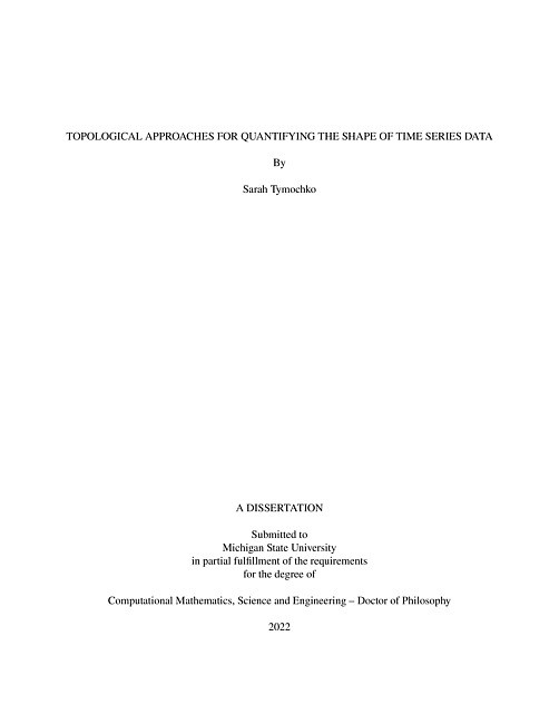 Topological approaches for quantifying the shape of time series data