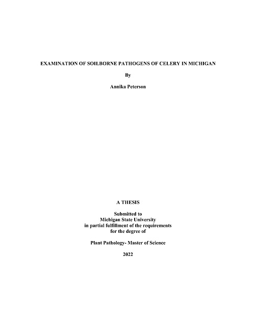 Examination of soilborne pathogens of celery in Michigan