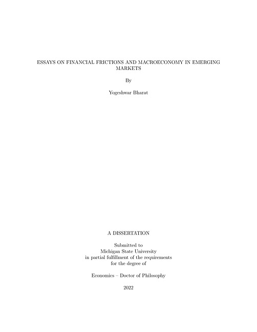 Essays on financial frictions and macroeconomy in emerging markets