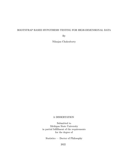 Bootstrap based hypothesis testing for high-dimensional data