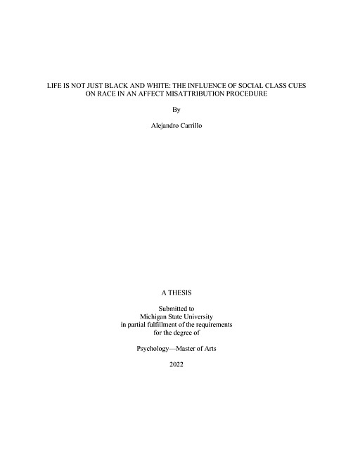 Life is not just black and white : the influence of social class cues on race in an affect misattribution procedure