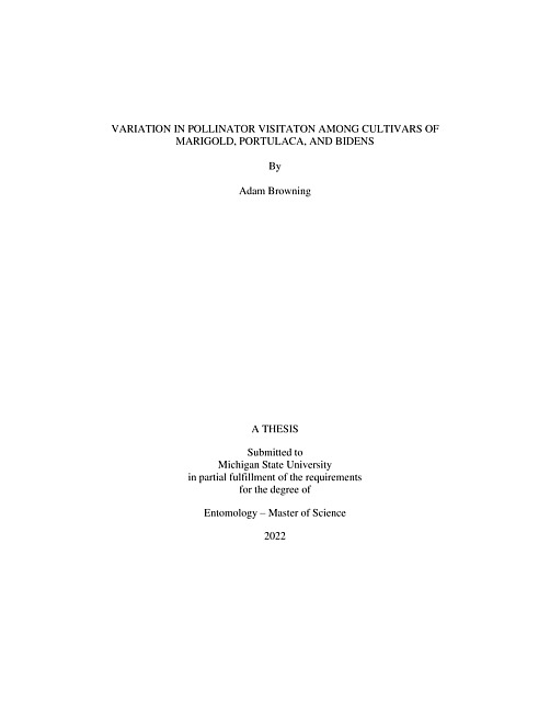 Variation in pollinator visitation among cultivars of marigold, Portulaca, and Bidens