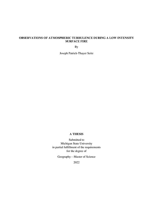 Observations of atmospheric turbulence during a low intensity surface fire