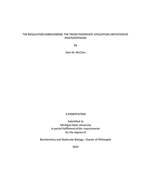 The regulation surrounding the triose phosphate utilization limitation of photosynthesis