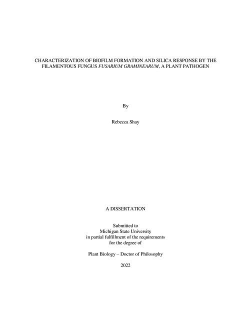 Characterization of biofilm formation and silica response by the filamentous fungus Fusarium graminearum, a plant pathogen