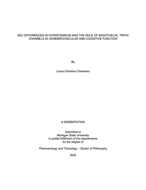 Sex differences in hypertension and the role of endothelial TRPV4 channels in cerebrovascular and cognitive function