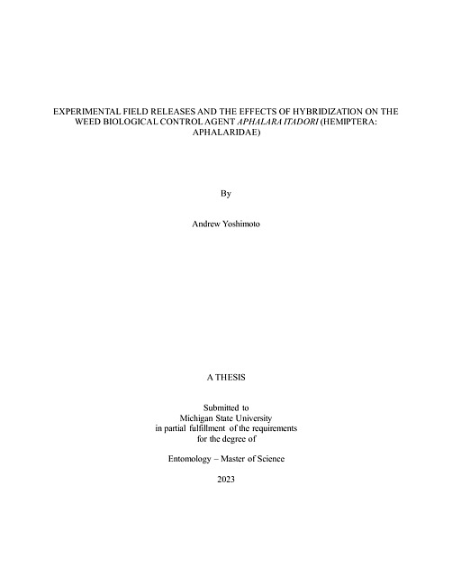 Experimental field releases and the effects of hybridization on the weed biological control agent Aphalara itadori (Hemiptera: Aphalaridae)