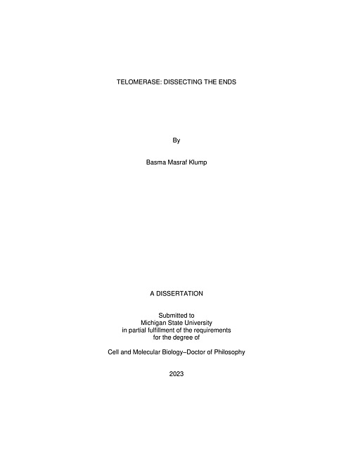 Telomerase : dissecting the ends