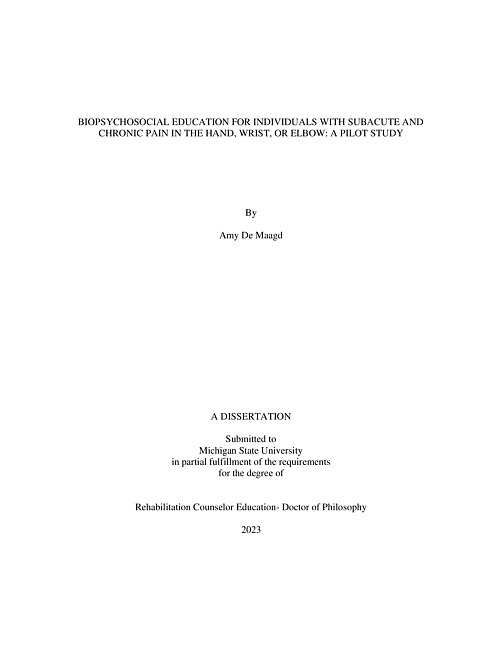 Biopsychosocial education for individuals with subacute and chronic pain in the hand, wrist, or elbow : a pilot study