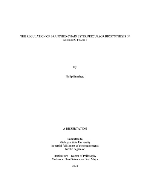 THE REGULATION OF BRANCHED-CHAIN ESTER PRECURSOR BIOSYNTHESIS IN RIPENING FRUITS