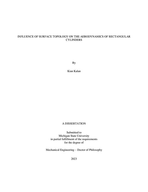 INFLUENCE OF SURFACE TOPOLOGY ON THE AERODYNAMICS OF RECTANGULAR  CYLINDERS